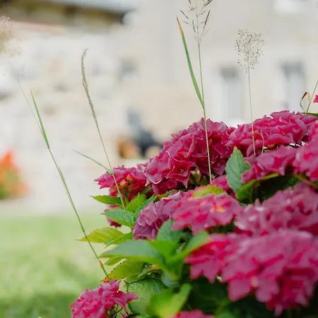 Tatil Evi Dependance Au Charme Local *